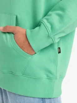 APOG Heritage - Sweat à capuche pour Homme