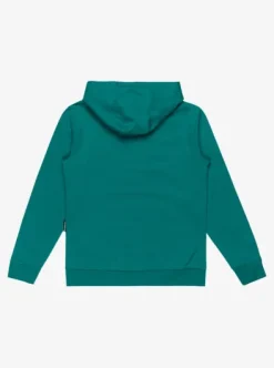 Basic - Sweat à capuche pour Garçon 8-16 ans