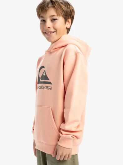 Big Logo - Sweat à capuche pour Garçon 8-16