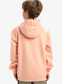 Big Logo - Sweat à capuche pour Garçon 8-16