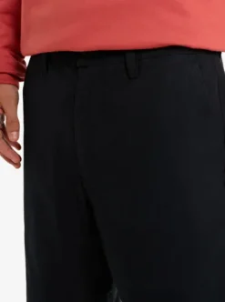 Carpenter - Short pour Homme