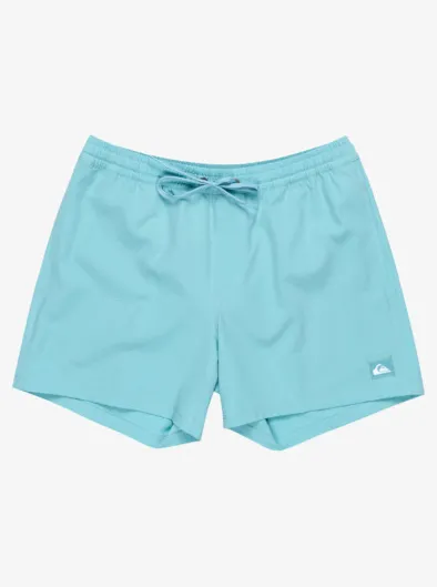 Everyday Flex Volley 15" - Short de bain pour Homme