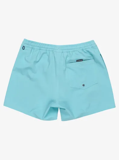 Everyday Flex Volley 15" - Short de bain pour Homme