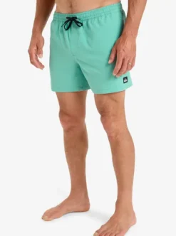 Everyday Flex Volley 15" - Short de bain pour Homme