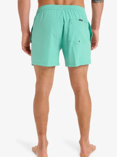 Everyday Flex Volley 15" - Short de bain pour Homme