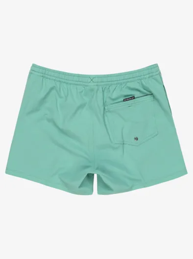 Everyday Flex Volley 15" - Short de bain pour Homme