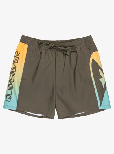 Everyday Holmes 16" - Short de bain pour Homme