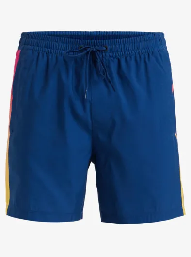 Everyday Holmes 16" - Short de bain pour Homme