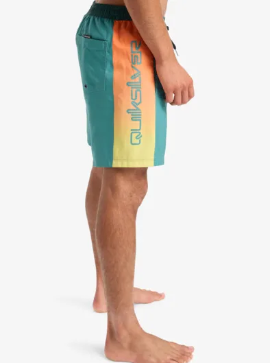 Everyday Holmes Volley 17" - Short de bain pour Homme