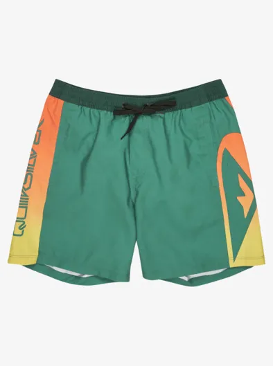 Everyday Holmes Volley 17" - Short de bain pour Homme