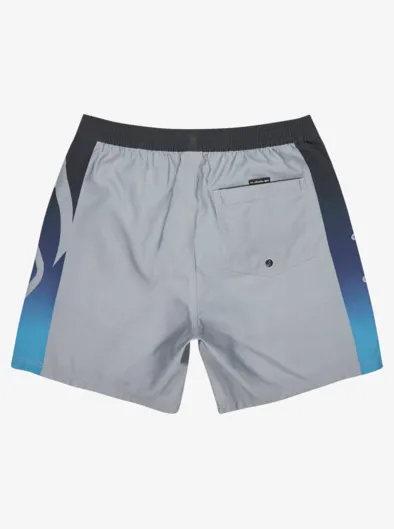 Everyday Holmes Volley 17" - Short de bain pour Homme