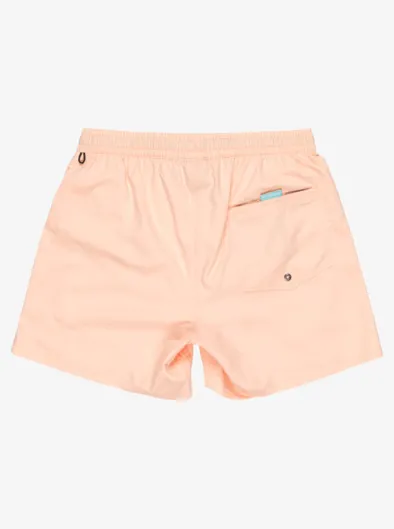 Everyday Solid Volley 15" - Short de bain pour Homme