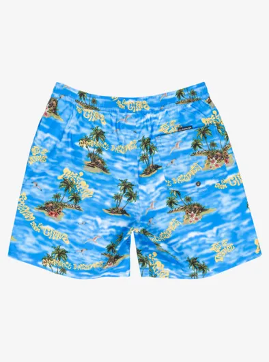 Everyday Straight Volley 17" - Short de bain pour Homme