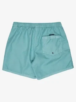 Everyday Surfwash Volley 15" - Short de bain pour Homme