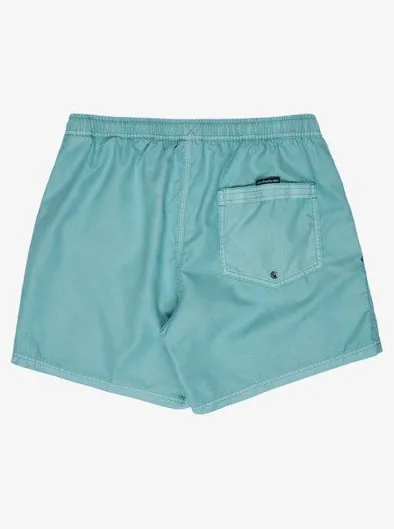 Everyday Surfwash Volley 15" - Short de bain pour Homme