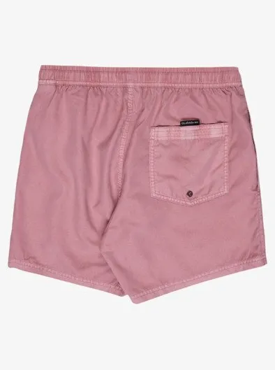 Everyday Surfwash Volley 15" - Short de bain pour Homme