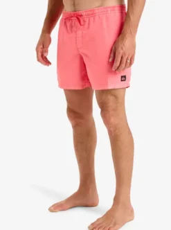 Everyday Surfwash Volley 15" - Short de bain pour Homme