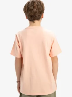 Ev Gradient Box - T-shirt à manches courtes pour Garçon 8-16