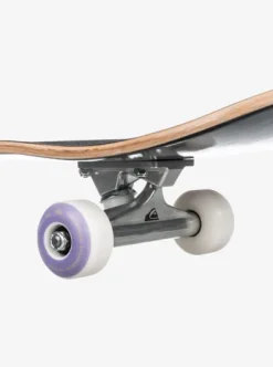 Flashback 7.25" - Skateboard complet pour Homme