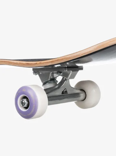 Flashback 8.25" - Skateboard complet pour Homme