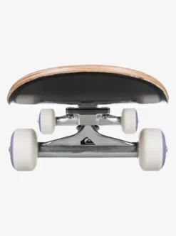 Flashback 8.25
