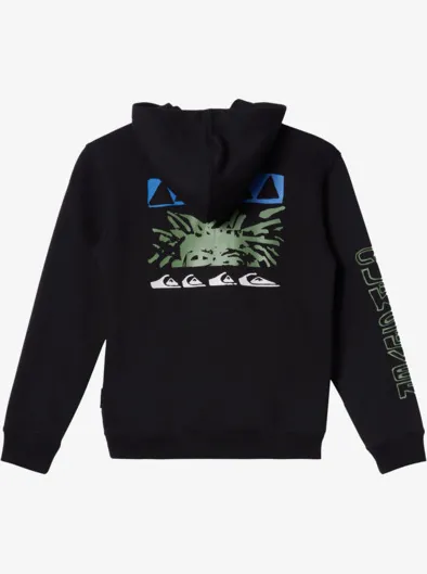 Graphic - Sweat à capuche pour Garçon 8-16 ans