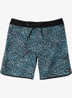 Highline Scallop 19