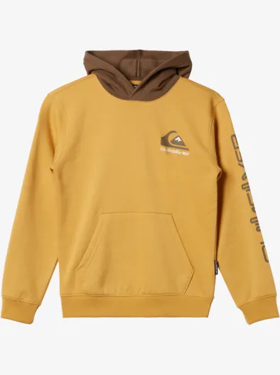 Logo - Sweat à capuche pour Garçon 8-16