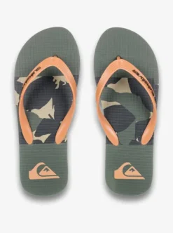 Molokai Stripe 25 - Tongs pour Homme