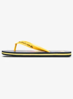 Molokai Stripe 25 - Tongs pour Homme