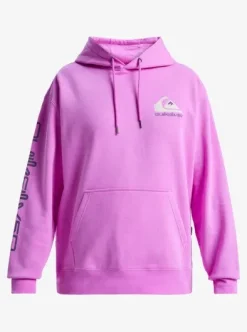 Omni Logo - Sweat à capuche pour Homme