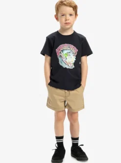 Taxer Boy 15