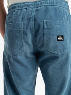 Taxer Regular Cord - Pantalon velours côtelé pour Homme