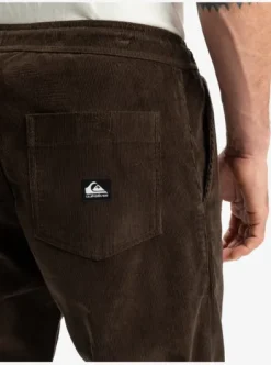 Taxer Regular Cord - Pantalon velours côtelé pour Homme