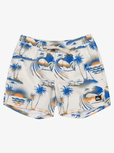 The Airbrush - Short de bain taille élastique 15'' pour Homme
